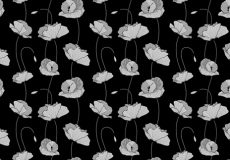 Poppies Wallpaper # 4